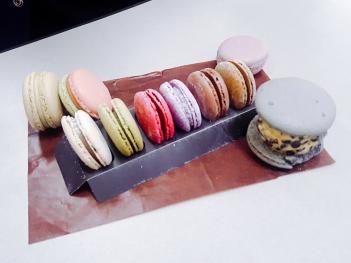 2018�г⵵ �������ְ����2 ÷���̹���