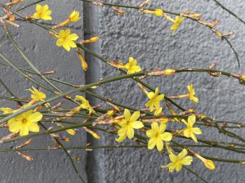 �л�ȸ���Ӹ��� �� ��߷� ÷���̹���