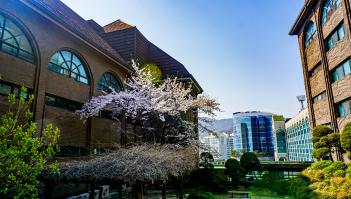 2019�г⵵ �б��� ��õ�� ��� ������ ÷���̹���