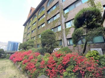 ���Ͽܱ�������б� ��Ȱ�ȳ� ÷���̹���