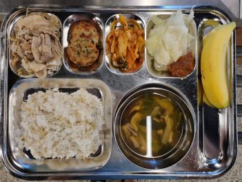 8.19 (��) �� ÷���̹���