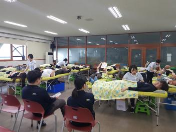 2019�� ���� ��� ÷���̹���