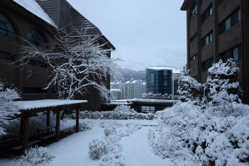 ���Ͽܰ� �ܿ�ǳ�� �������� ÷���̹���