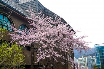 ���Ͽܰ� ��ǳ�� �������� ÷���̹���